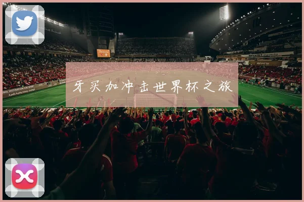 牙买加冲击世界杯之旅