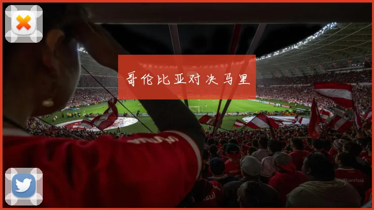 哥伦比亚对决马里