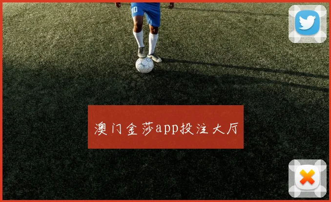 澳门金莎app投注大厅