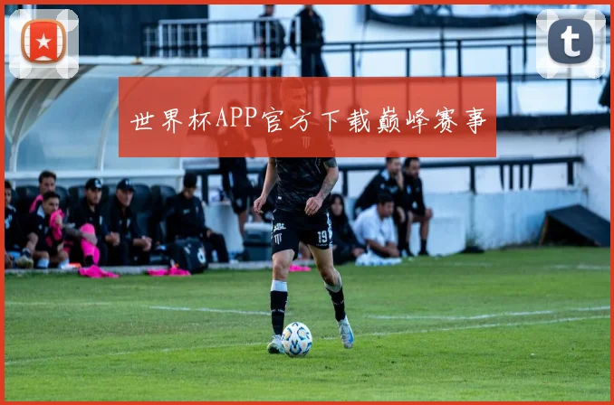 世界杯APP官方下载巅峰赛事
