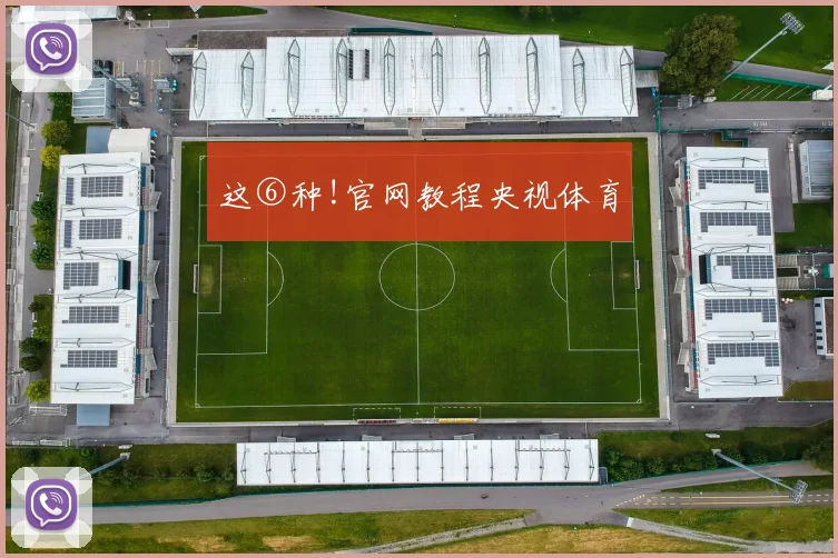 这⑥种!官网教程央视体育