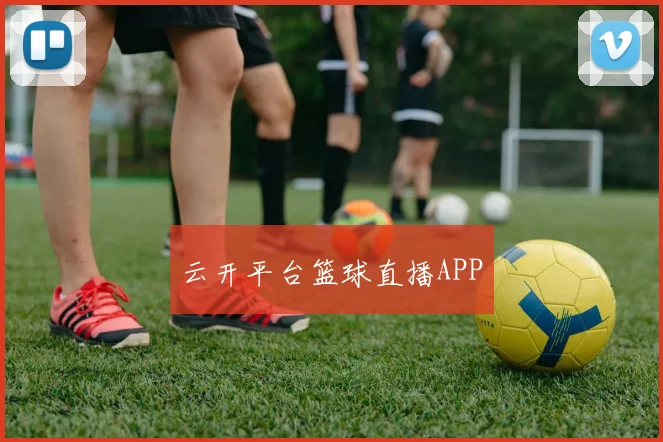 云开平台篮球直播APP