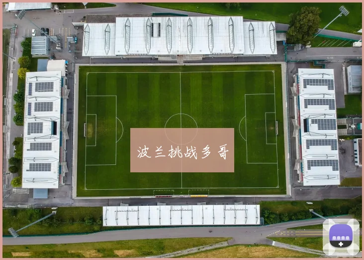 波兰挑战多哥