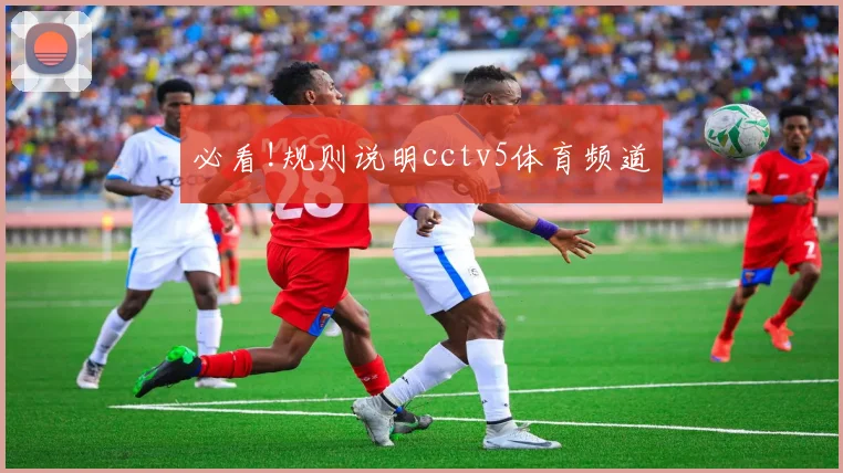 必看!规则说明cctv5体育频道