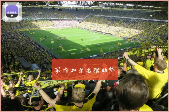 塞内加尔名宿助阵