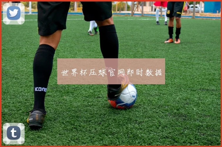 世界杯压球官网即时数据
