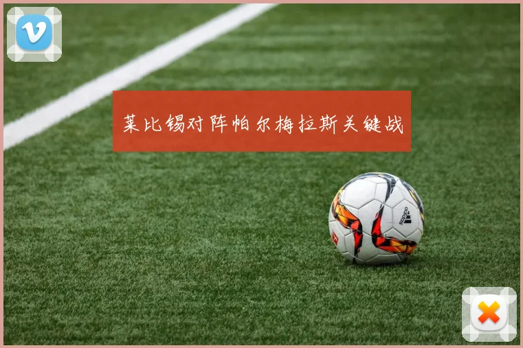莱比锡对阵帕尔梅拉斯关键战