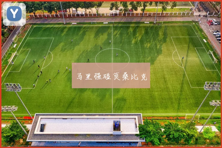 马里强碰莫桑比克