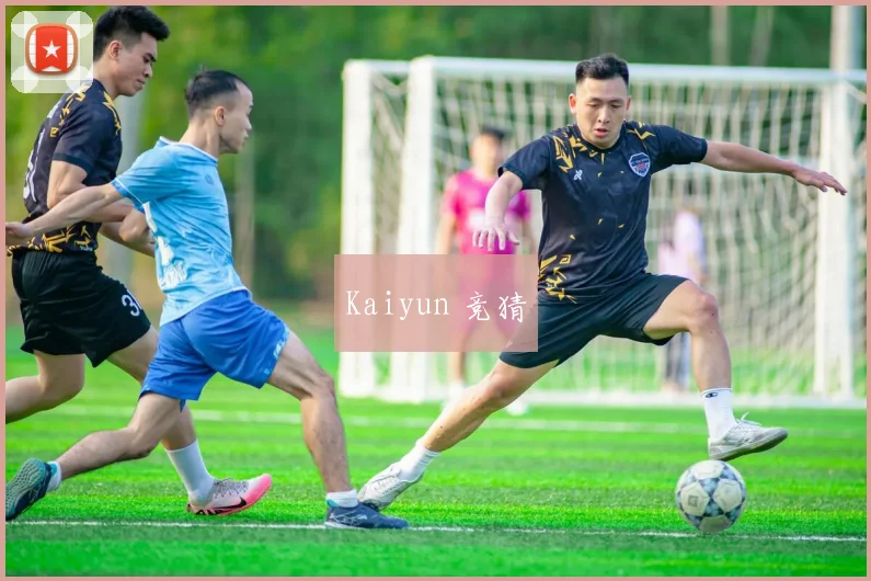 Kaiyun 竞猜