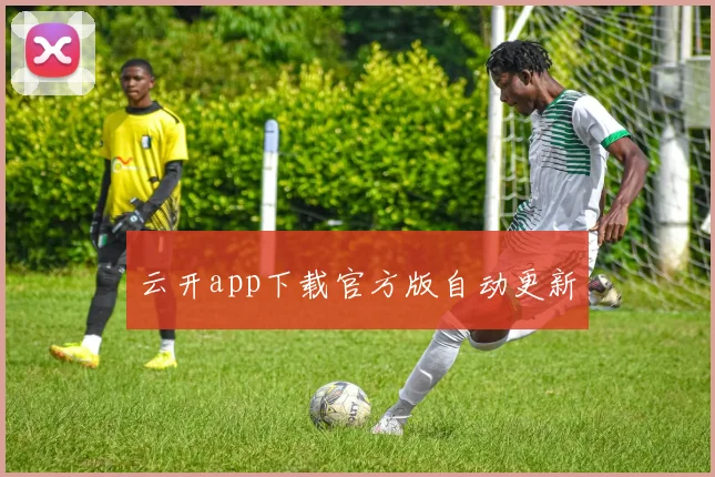 云开app下载官方版自动更新
