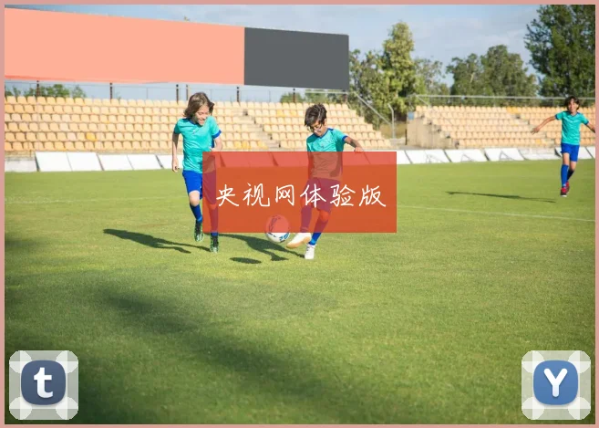 央视网体验版
