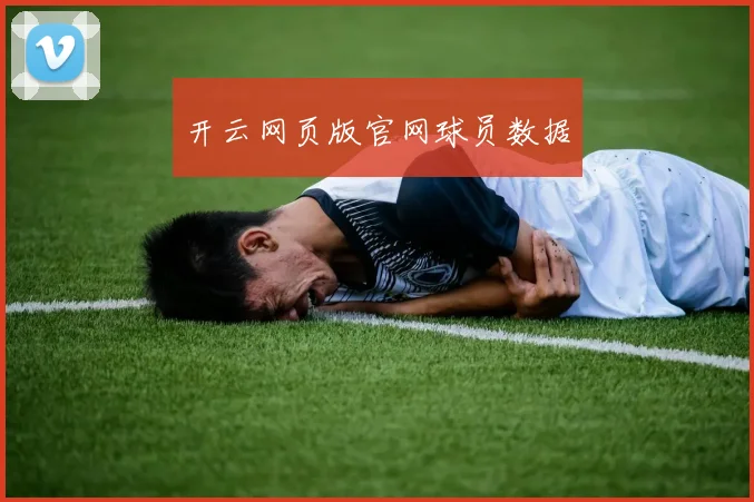 开云网页版官网球员数据