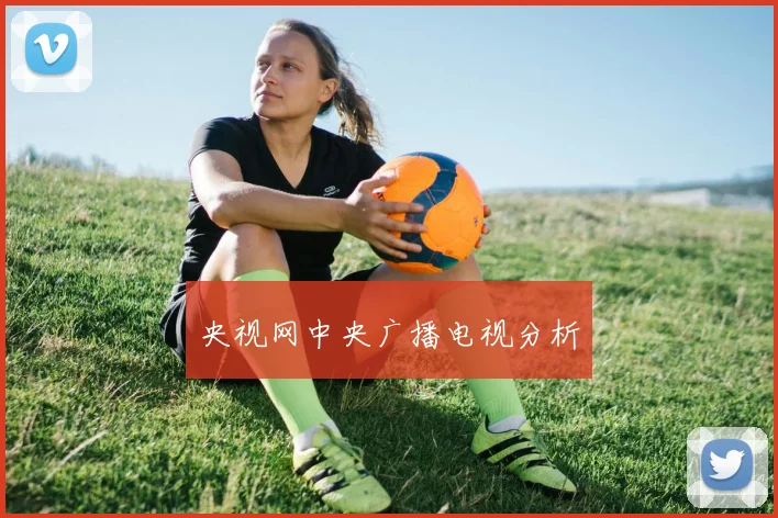 央视网中央广播电视分析