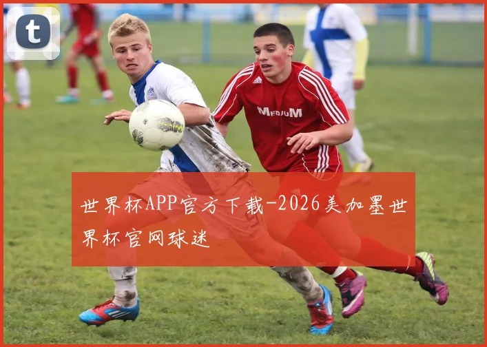 世界杯APP官方下载-2026美加墨世界杯官网球迷