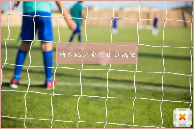 纳米比亚全力出击战场