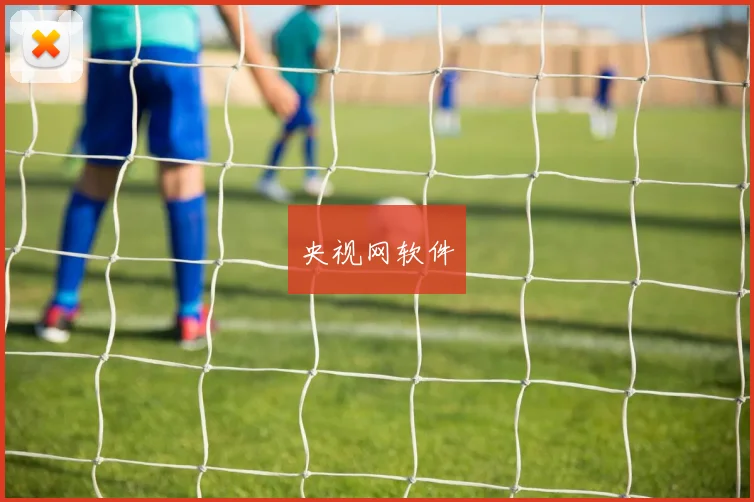 央视网软件