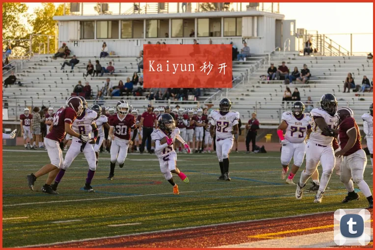 Kaiyun 秒开
