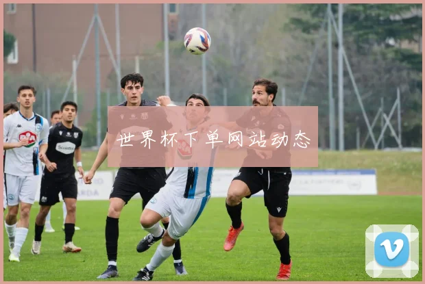 世界杯下单网站动态