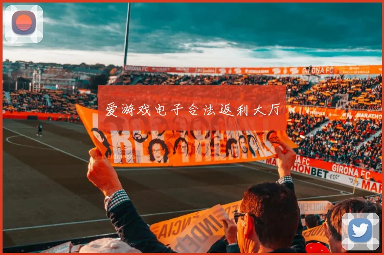 爱游戏电子合法返利大厅