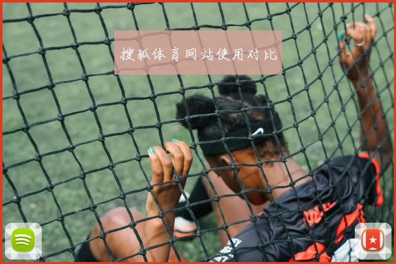 搜狐体育网站使用对比