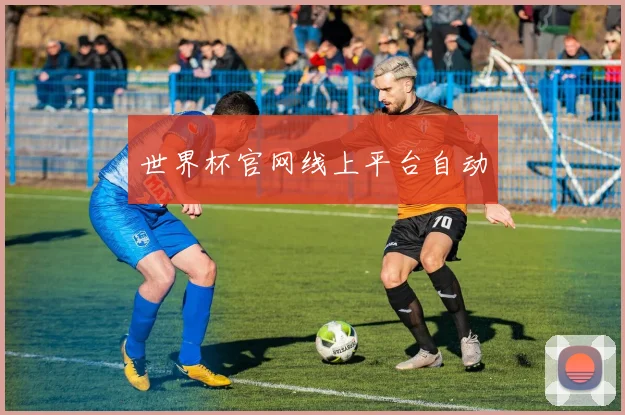 世界杯官网线上平台自动