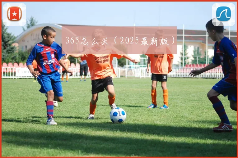 365怎么买（2025最新版）