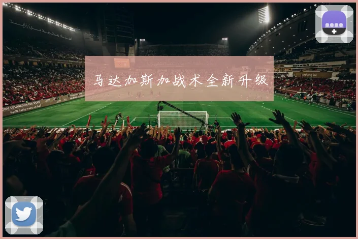马达加斯加战术全新升级