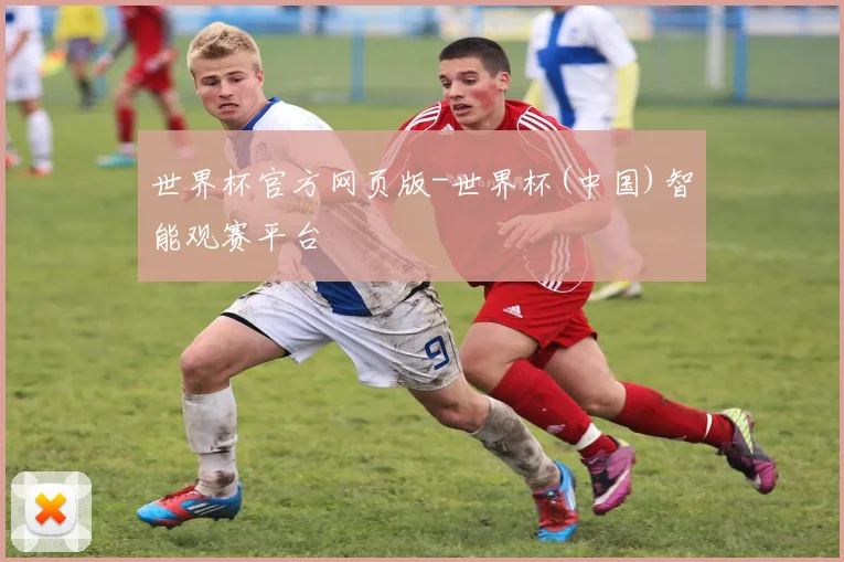 世界杯官方网页版-世界杯(中国)智能观赛平台