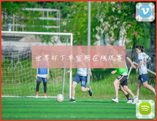 世界杯下单官网在线观赛