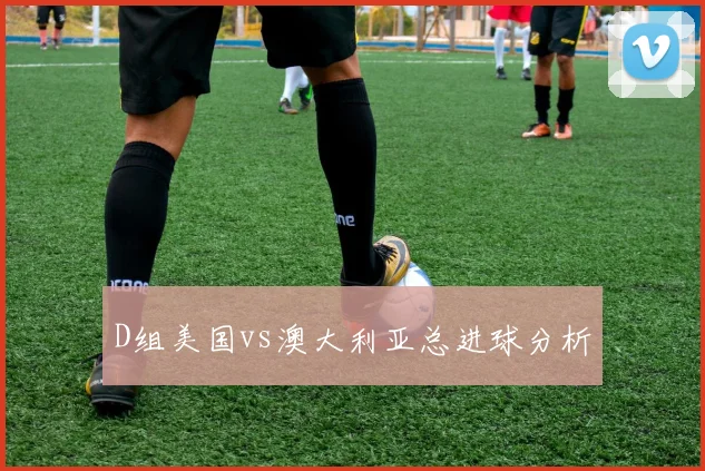D组美国vs澳大利亚总进球分析