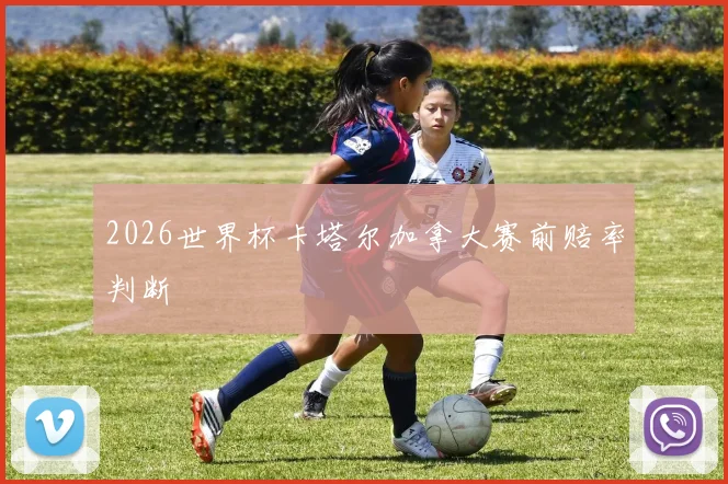 2026世界杯卡塔尔加拿大赛前赔率判断