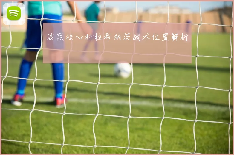 波黑核心科拉希纳茨战术位置解析