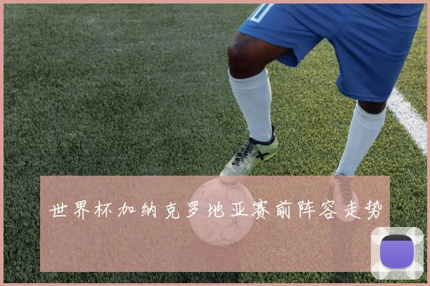 世界杯加纳克罗地亚赛前阵容走势