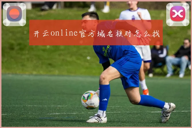 开云online官方域名核对怎么找