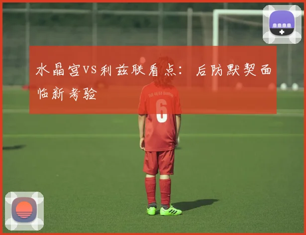 水晶宫vs利兹联看点:后防默契面临新考验