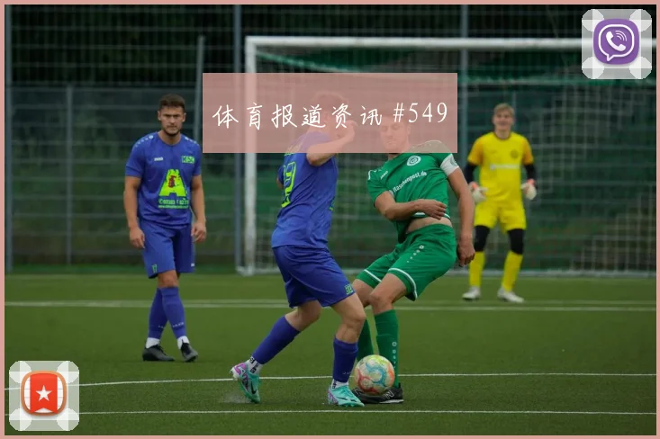 波黑vs加拿大2026世界杯传控比例
