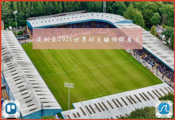 埃利亚2026世界杯关键传球看点