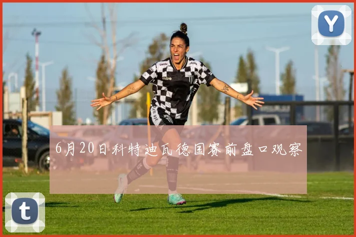 6月20日科特迪瓦德国赛前盘口观察
