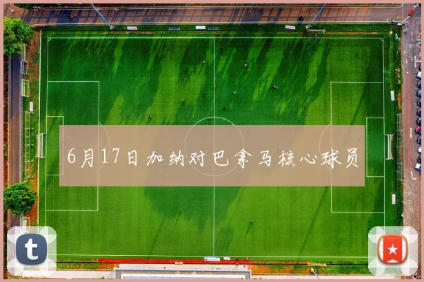 6月17日加纳对巴拿马核心球员